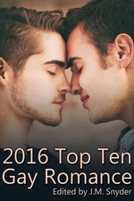 2016 Top Ten Gay Romance