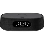 Harman Kardon Citation Oasis mini reproduktor  DAB+, Bluetooth, Air-Play AirPlay, prijíma integrácia Google Assistant, W