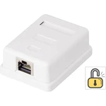 sieťová zásuvka na omietku Renkforce RF-4473849, CAT 6, 1 port