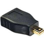 LINDY 41077 Mini-DisplayPort / DisplayPort adaptér [1x mini DisplayPort zástrčka - 1x zásuvka DisplayPort] čierna