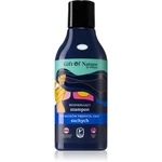 Vis Plantis Gift of Nature regenerační šampon pro suché vlasy 300 ml