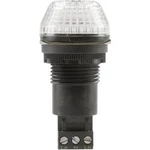 Signální osvětlení LED Auer Signalgeräte IBS, čirá, trvalé světlo, blikající světlo, 24 V/DC, 24 V/AC
