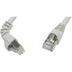 Síťový kabel RJ45 Telegärtner L00000A0192, CAT 6A, S/FTP, 1.00 m, šedá