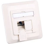 Síťová zásuvka pod omítku panel s čelní deskou CAT 6A 2 porty EFB Elektronik čistě bílá (RAL 9010)
