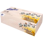 Linteo Paper Tissues Four-ply Paper, 70 pcs per box papírové kapesníky s balzámem 70 ks