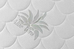 BENAB ALOE VERA 200x90