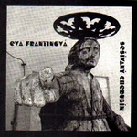 Sešívaný cherubín - Eva Frantinová