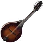 The Loar LM-110 Brownburst Mandolina