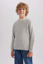 DEFACTO Boy Regular Fit Crew Neck Pullover