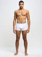 Big Star Man's Boxer Shorts Underwear 200033 Cream 101