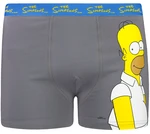 Boxer da uomo Character Simpsons 1P