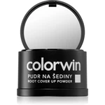 Colorwin Pudr pudr na vlasy pro objem a zakrytí šedin odstín Light Brown 3,2 g Colorwin Pudr pudr na vlasy pro objem a zakrytí šedin odstín Light Brown 3,2 g