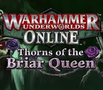 Warhammer Underworlds: Online - Warband: Thorns of the Briar Queen DLC Steam CD Key