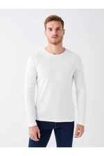 LC Waikiki Crew Neck Long Sleeved Men's T-Shirt