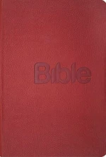 Bible překlad 21. století - Alexandr Flek