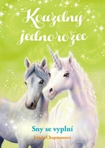 Kouzelný jednorožec Sny se vyplní - Linda Chapmanová