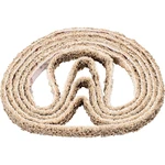 PFERD VB 9/305 A 100 G 45010710 brúsny pás  Zrnitosť 100  (d x š) 305 mm x 9 mm 10 ks