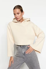 Trendyol Exposed Stones Thick Fleece Inside Relaxed Cut Crop Spanish Sleeves Hooded Knitted Sweatshirt