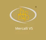 proDAD Mercalli V5 CD Key (2 Years / 1 PC)