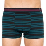 Men's boxer shorts Molvy multicolor