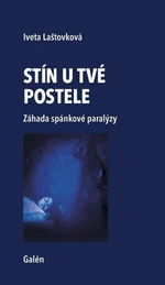 Stín u tvé postele - Iveta Laštovková