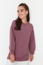 Trendyol Damson Crew Neck Basic Knitted Sweatshirt