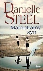 Marnotratný syn (Defekt) - Danielle Steel