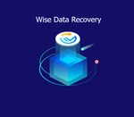 Wise Data Recovery PRO CD Key (1 Year / 1 PC)