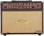 Carlsbro Sherwood 60 Combo para Guitarra Acústica-Eléctrica