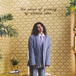 Alessia Cara - The Pains Of Growing (2 LP) Disco de vinilo