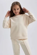 DEFACTO Relax Fit Crew Neck Sweatshirt