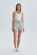 Dagi Gray Melange Shorts