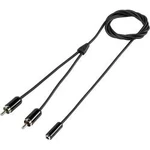 Cinch / jack audio kabel SpeaKa Professional SP-7870036, 1.00 m, černá