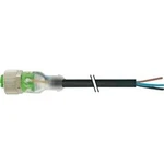 Neupravený zástrčkový konektor pro senzory - aktory Murr Elektronik 7000-12261-6130500 5.00 m, 1 ks