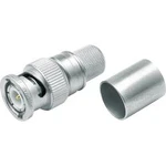 BNC zástrčka, rovná Telegärtner J01000A0060, 50 Ω, 1 ks