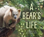 A Bear's Life