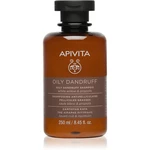 Apivita Holistic Hair Care White Willow & Propolis šampon proti lupům pro mastné vlasy 250 ml
