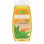 Bione Cosmetics Cannabis regenerační šampon 260 ml