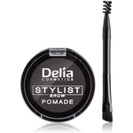 Delia Cosmetics Eyebrow Expert pomáda na obočí odstín Graphite 4 g
