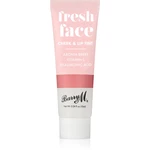 Barry M Fresh Face tekutá tvářenka a lesk na rty odstín Summer Rose 10 ml