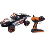 RC model auta Buggy Amewi Extreme D5 22220, 1:18