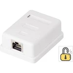 Síťová zásuvka na omítku CAT 6 Renkforce KSV-ND10, RF-4473849, 1 port, bílá