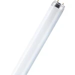 Zářivka Osram, 16 W, G13, 720 mm, teplá bílá