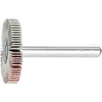 Vějířová bruska NA KŮŇ PFERD 44401246 Průměr 30 mm