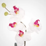 Phalaenopsis hrnkový umělý 30cm bílo růžová