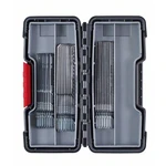 Bosch Accessories 2607010905 Sada listov priamočiarej píly Wood Precision, 30 kusov, stopka s jednou vačkou 1 sada