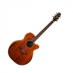 Takamine Ef508kc