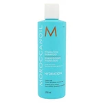 Moroccanoil Hydration 250 ml šampón pre ženy na všetky typy vlasov