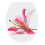 WC sedadlo Wenko Orchid, 45 × 38 cm