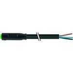 Neupravený zástrčkový konektor pro senzory - aktory Murr Elektronik 7000-08201-6300500 5.00 m, 1 ks